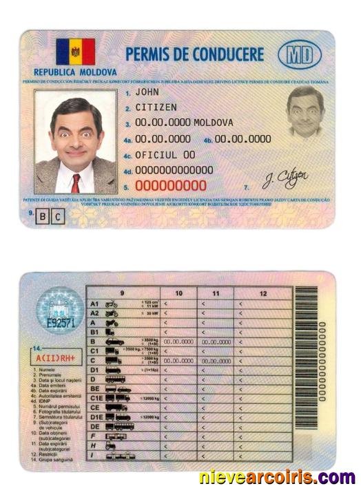 Moldova driver license